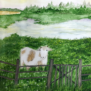 Вероника Капустина | Родные просторы