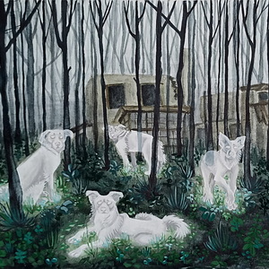 Софья Иноземцева | Собаки павлова