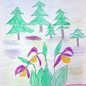 Арсений Ермолин | Орхидеи в долине Ижоры (дер. Покизен-Пурская)