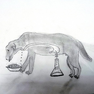 Айгуль Акчурина | Собака Павлова