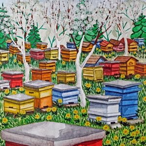 Софья Иноземцева  | Пасека Иноземцевых