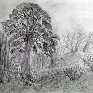 Ксения  Першина | Собачья гора