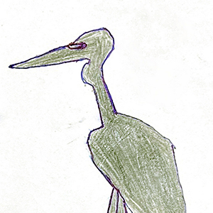 Михаил Евдокимов | Чёрный аист