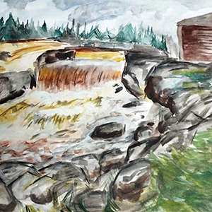 Дарья Васильева | Водопад