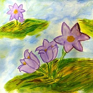 Диана Юшкевич | Первоцветы Приладожья