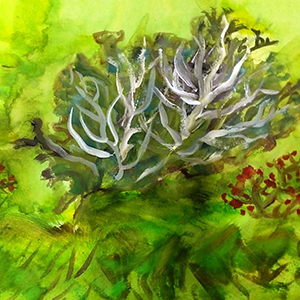 Владислав Дудочкин | Лишайник чемпион