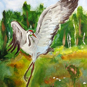 Елизавета Капкина | Куркиёки - журавлиная река