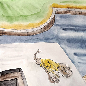 Владислав Козин | Шлиссельбургский швед