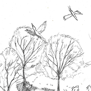 Анна Перейма | Древнее капище 12 века подпорожский 