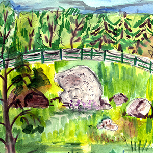 Дарина Фролова | Древнее капище 12 века, подпорожский