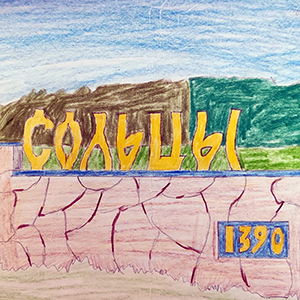 Владимир Полынов | Сольцы