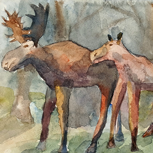 Злата Михеева | Лоси