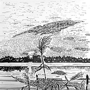 Таня Муравская | Яккимваарский залив