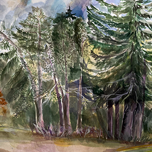 Полина Горохова | Кедровая роща. Наследие Поленова