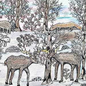 Кристина  Лебедева | Лесные жители Киришского района