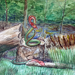 Алина  Самойленко  | Хранительница вепсских болот 