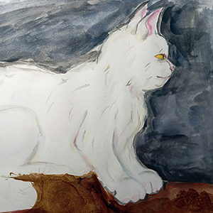 Дарья  Васильева | Воплощение карельского домового