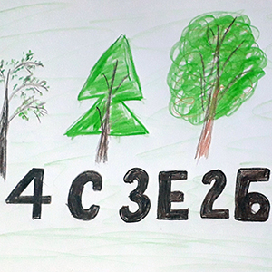 Кирилл Цветков | Формула карельского леса