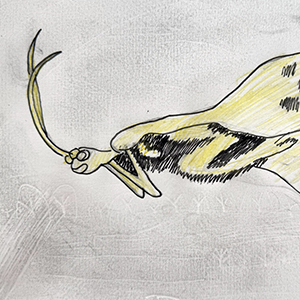 Василиса  Яценко | Памятник шведу 